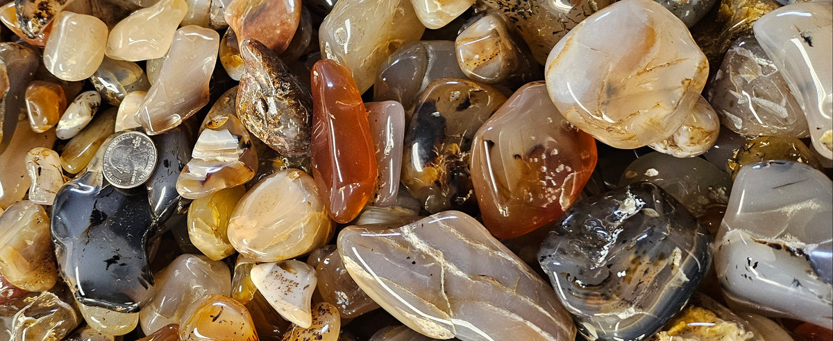 Polished Montana Agates