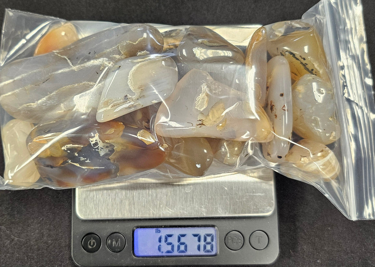 Polished Montana Agates