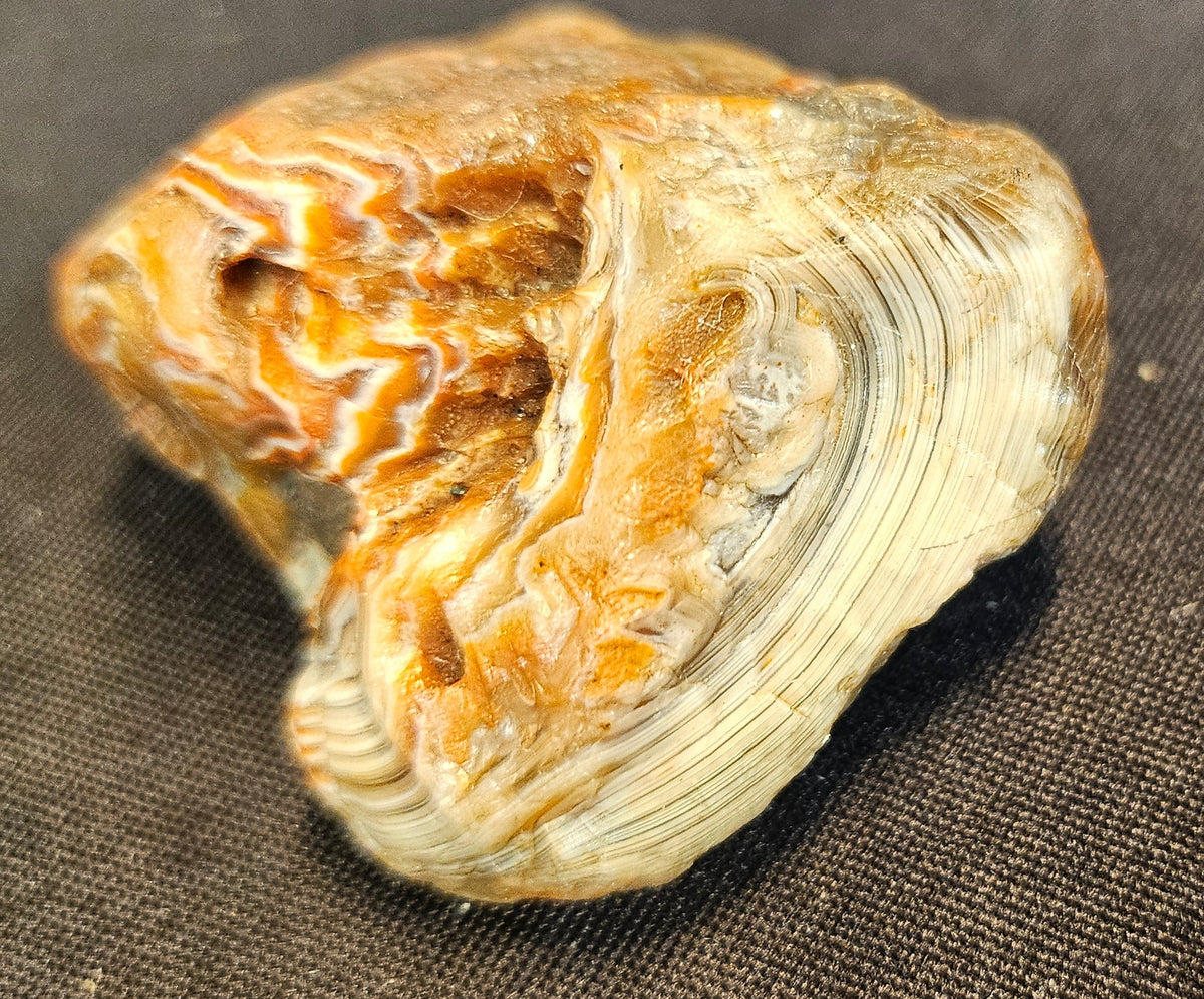 Lake Superior Agate