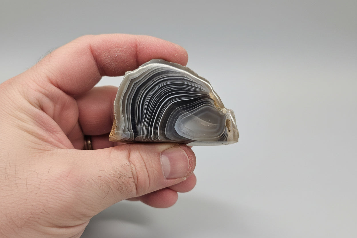 Face polished Botswana Agate Nodule