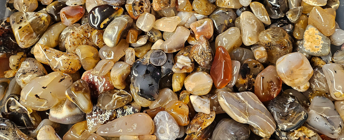 Polished Montana Agates