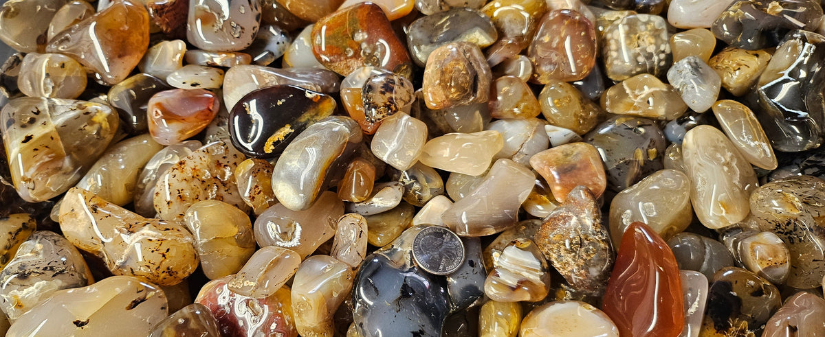 Polished Montana Agates