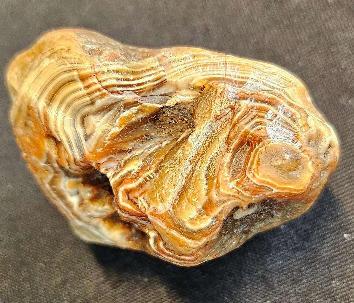 Lake Superior Agate