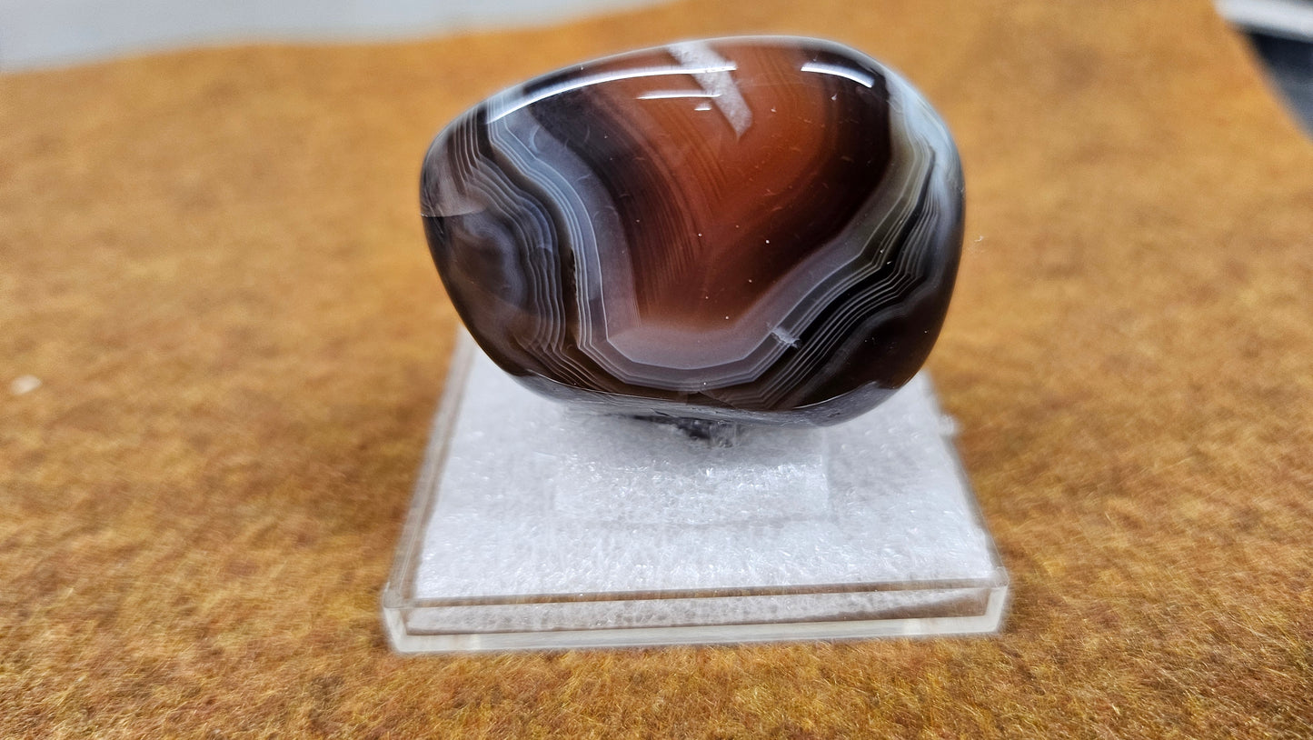 Botswana agate