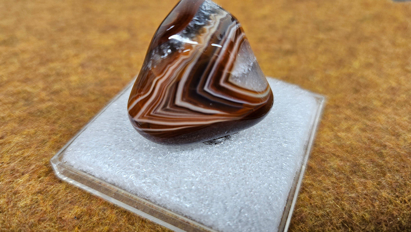 Lake Superior Agate