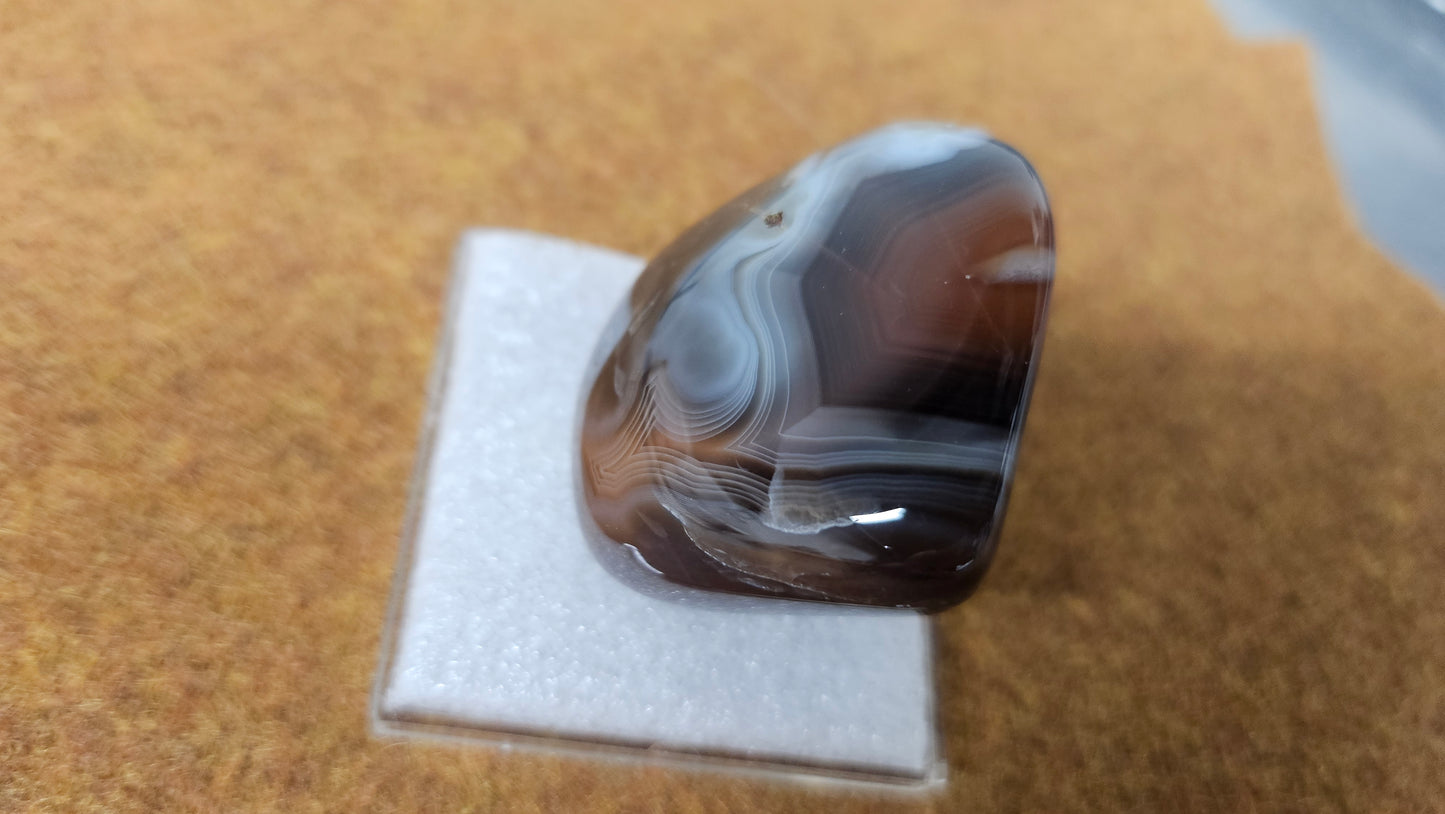 Botswana agate