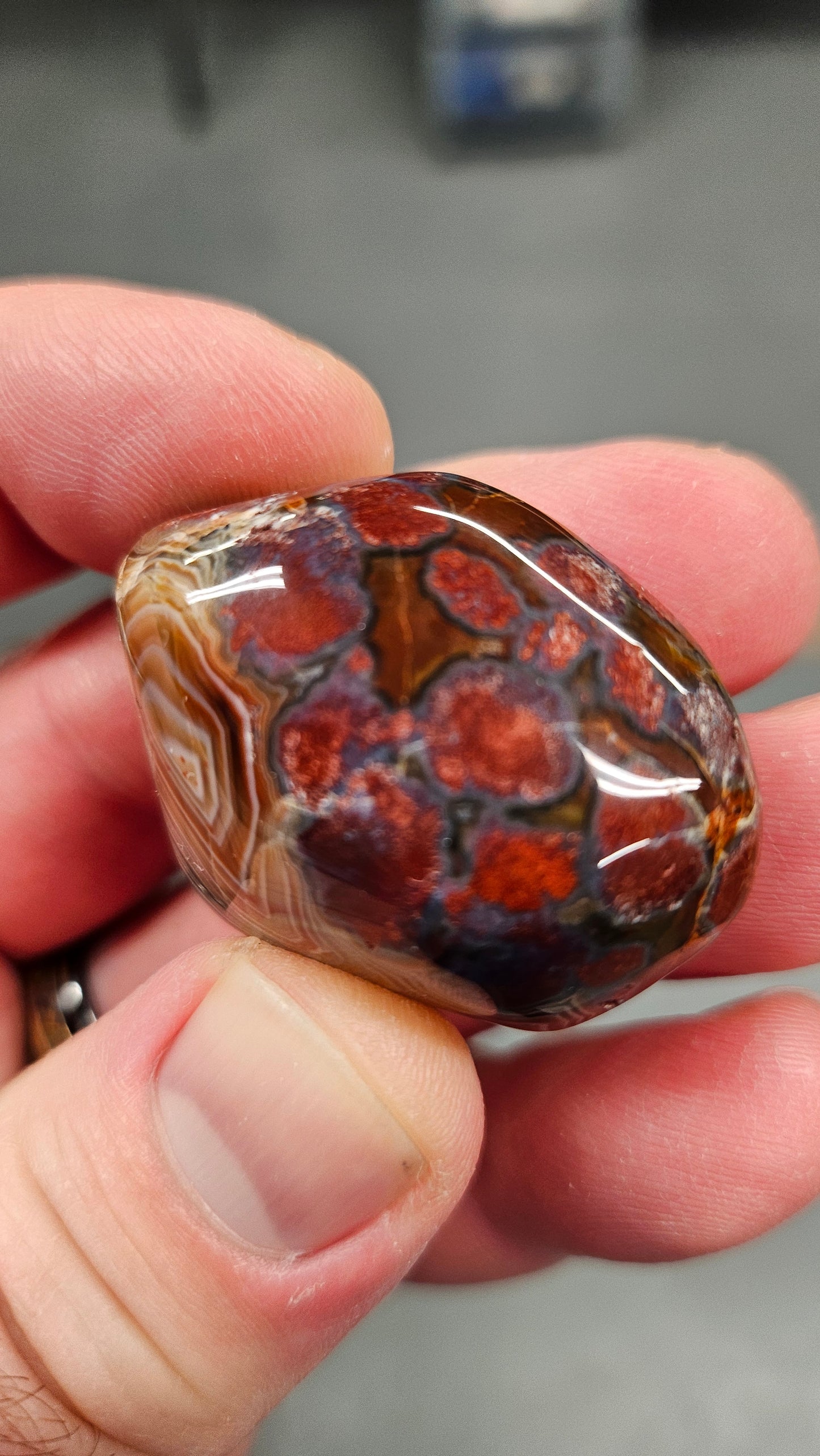 Lake Superior Agate